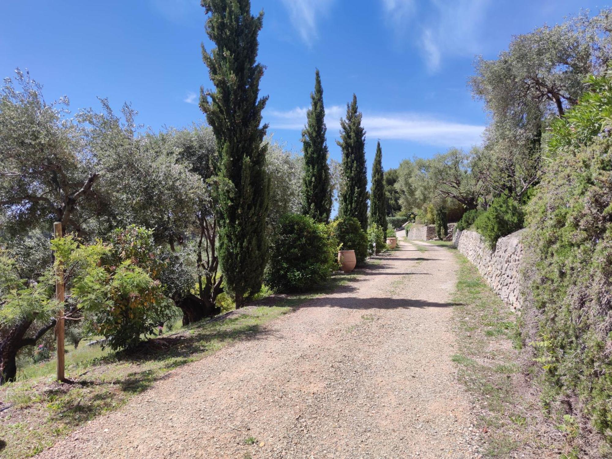 Villa Des Oliviers Sanary-sur-Mer Exterior foto