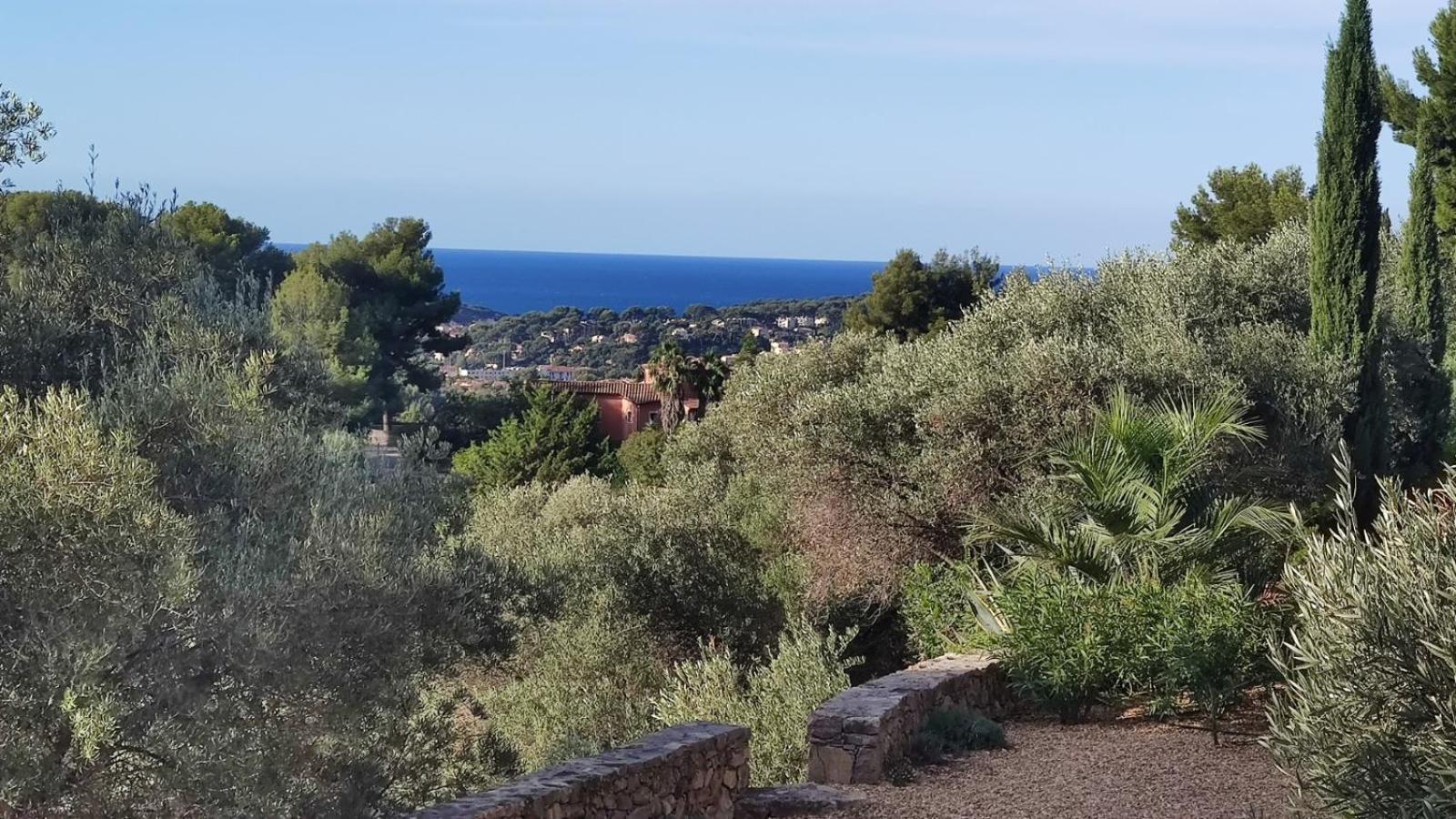 Villa Des Oliviers Sanary-sur-Mer Exterior foto